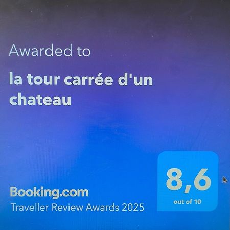 La Tour Carree D'Un Chateau Auzouer-en-Touraine Экстерьер фото